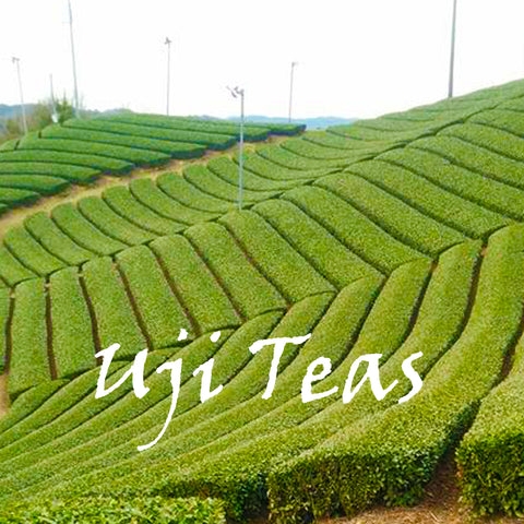 Uji Teas