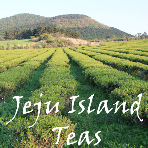 Jeju Island Teas
